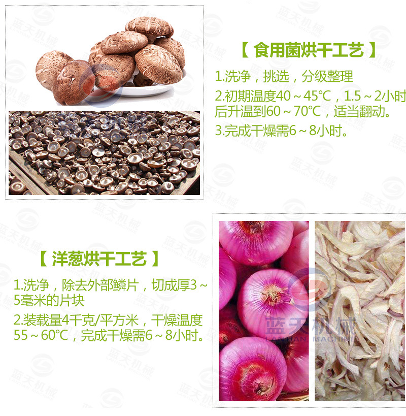 豆角網帶烘干機常見烘干工藝