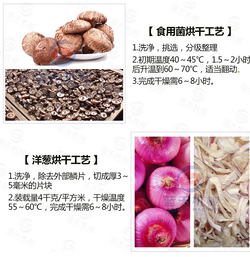 生姜片網(wǎng)帶烘干機常見烘干工藝