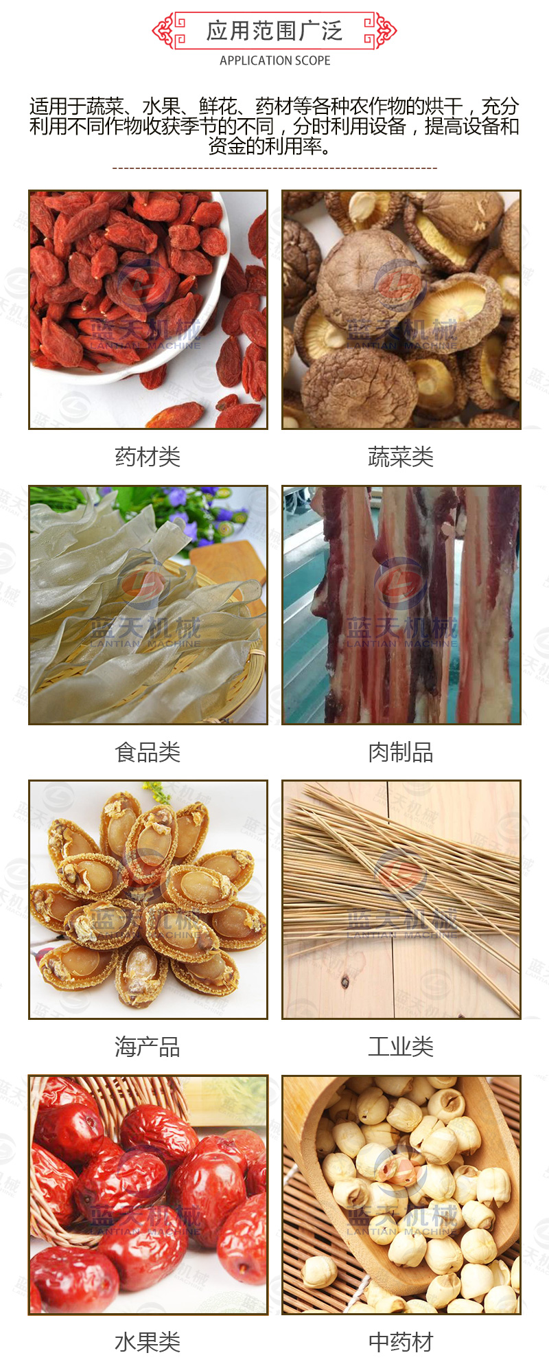 枸杞網(wǎng)帶式烘干機應(yīng)用范圍廣泛