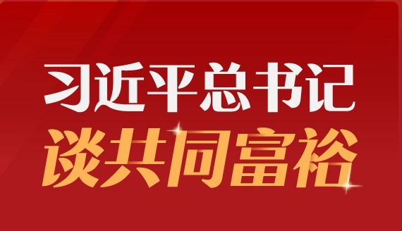 習(xí)近平總書記談共同富裕